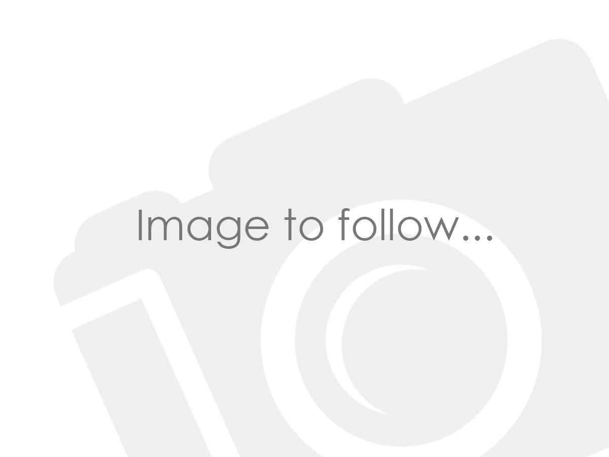 GWM ORA 03 at GWM UK Solihull